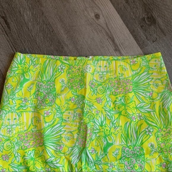 Lilly Pulitzer Skirt 6 - Picture 2 of 6